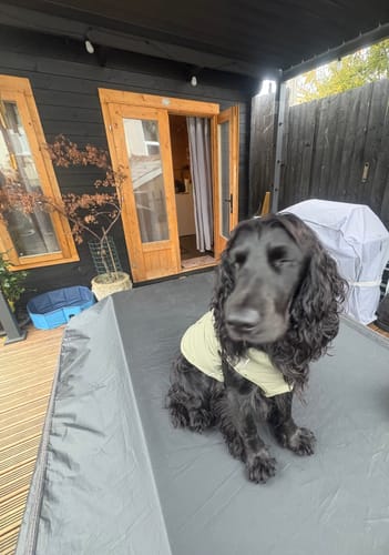 Customer photo review of WarmShield Water-Resistant Jacket - Olive