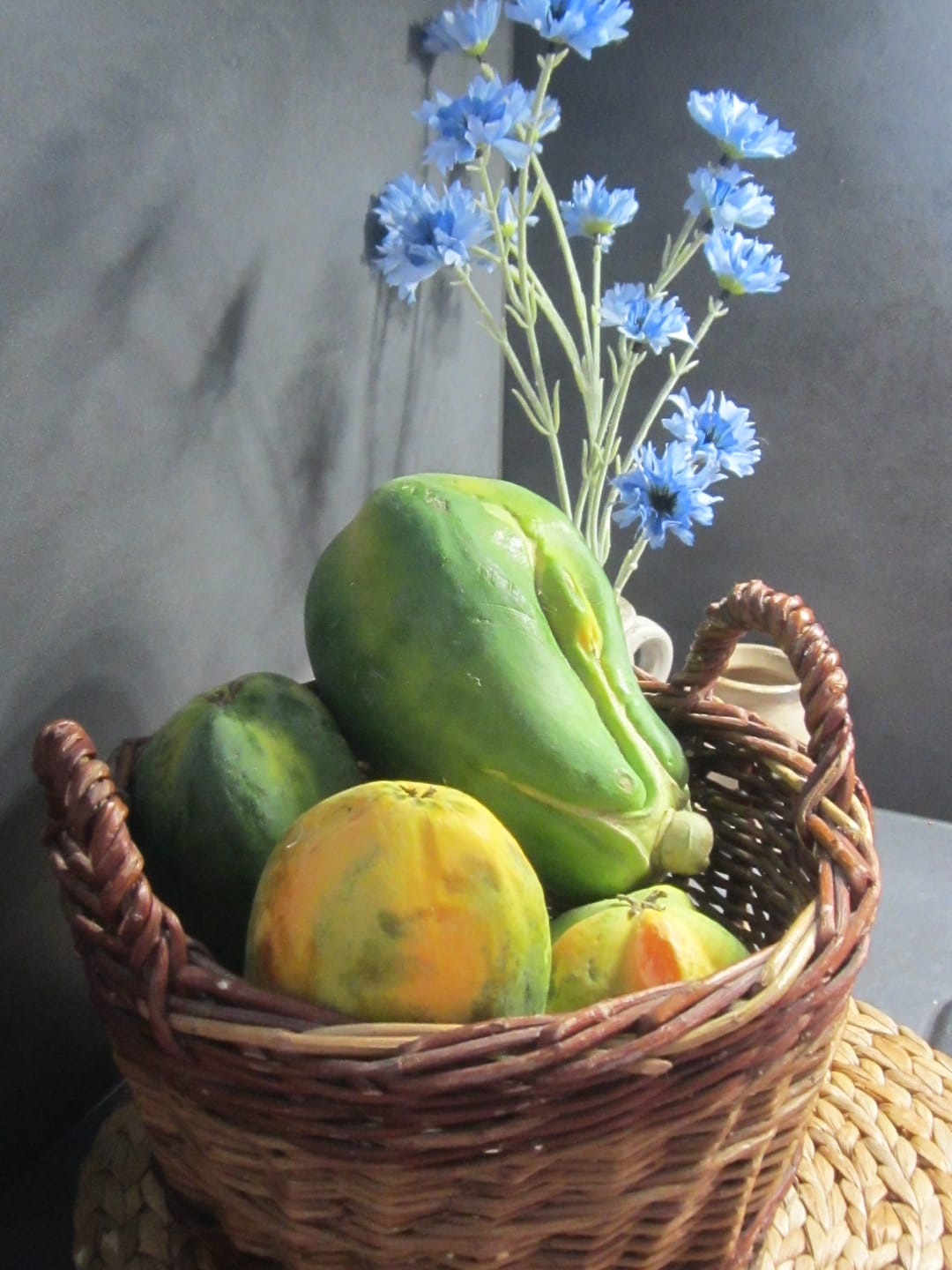 Customer photo review of Papaya Bio von Julian