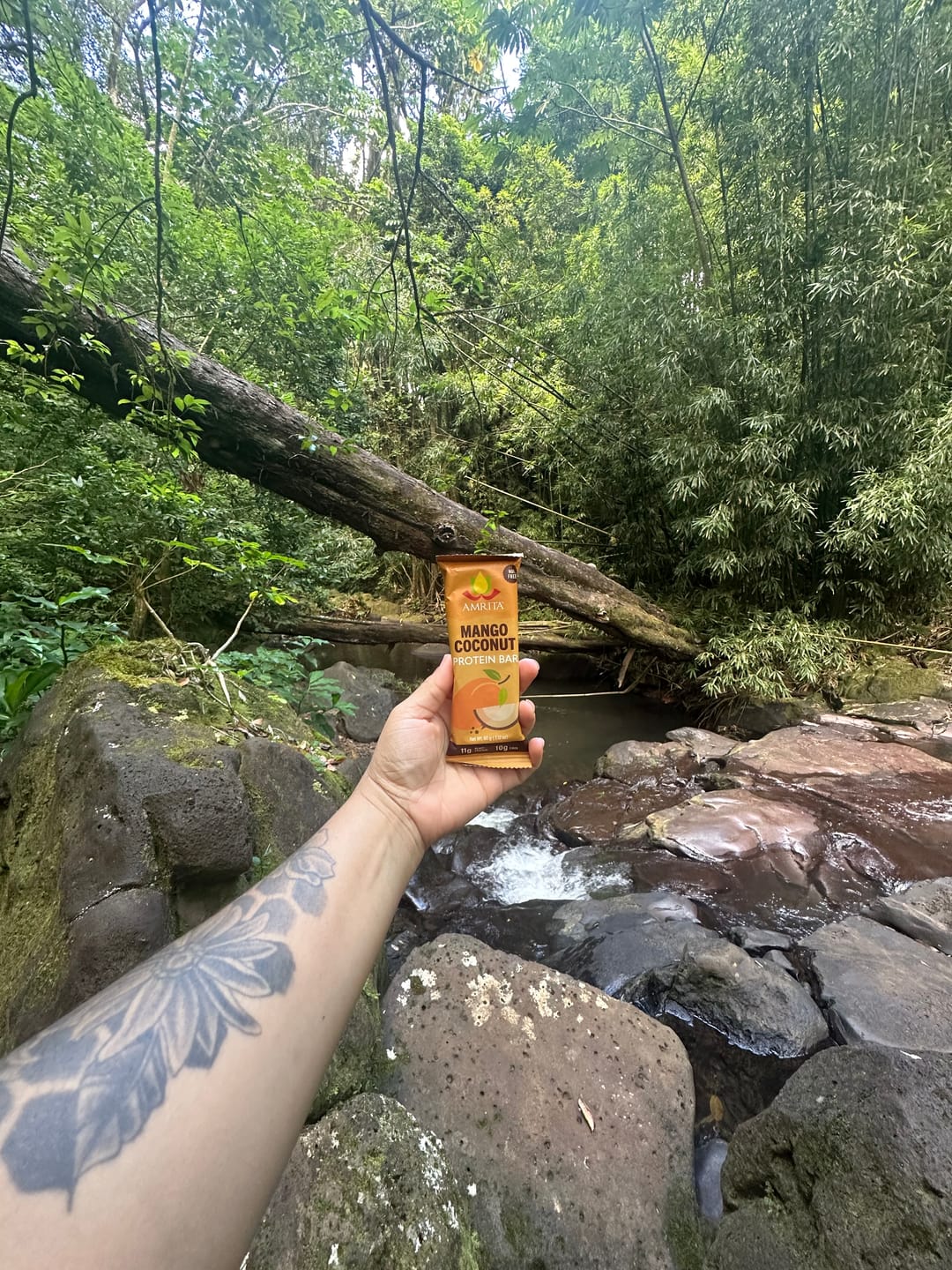 Customer photo review of High Protein Bars Starter Pack
