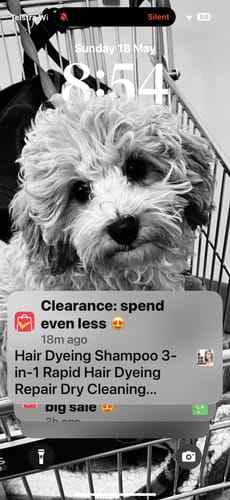 Customer photo review of Custom Photo Pets Make Our Lives Whole - Dog & Cat Personalized Ornament