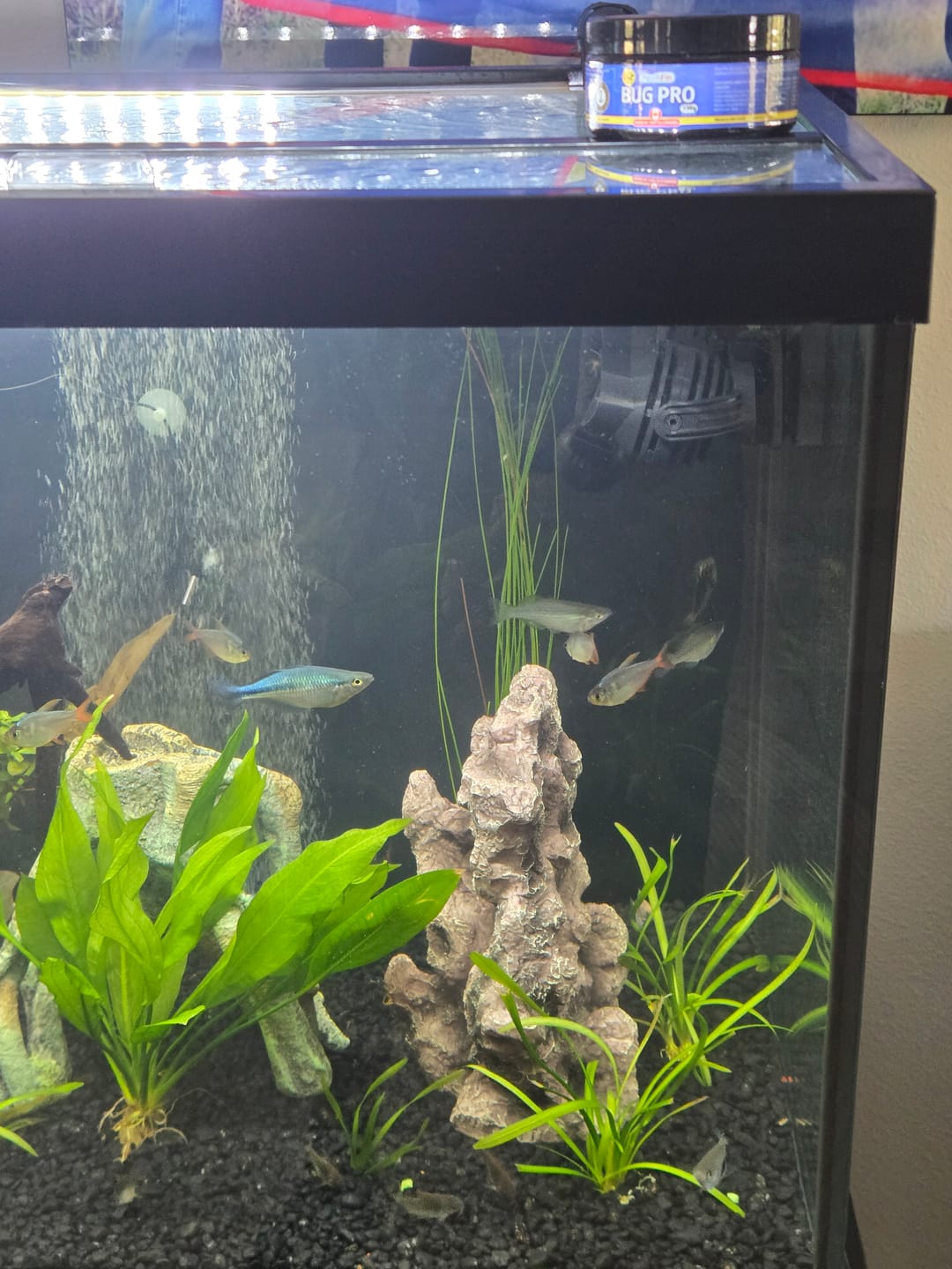 Customer photo review of Northfin Bug Pro