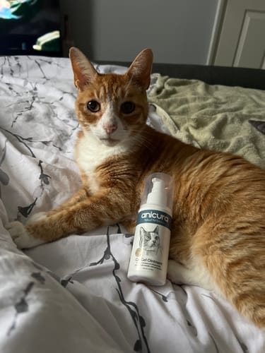 Customer photo review of Cat Gel Twin Pack