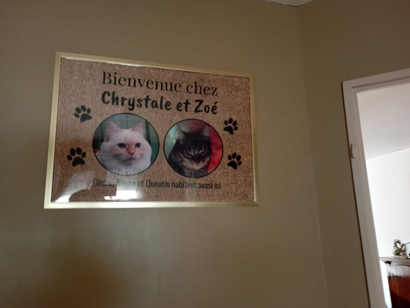 Customer photo review of Photo téléchargée - Paillasson personnalisé