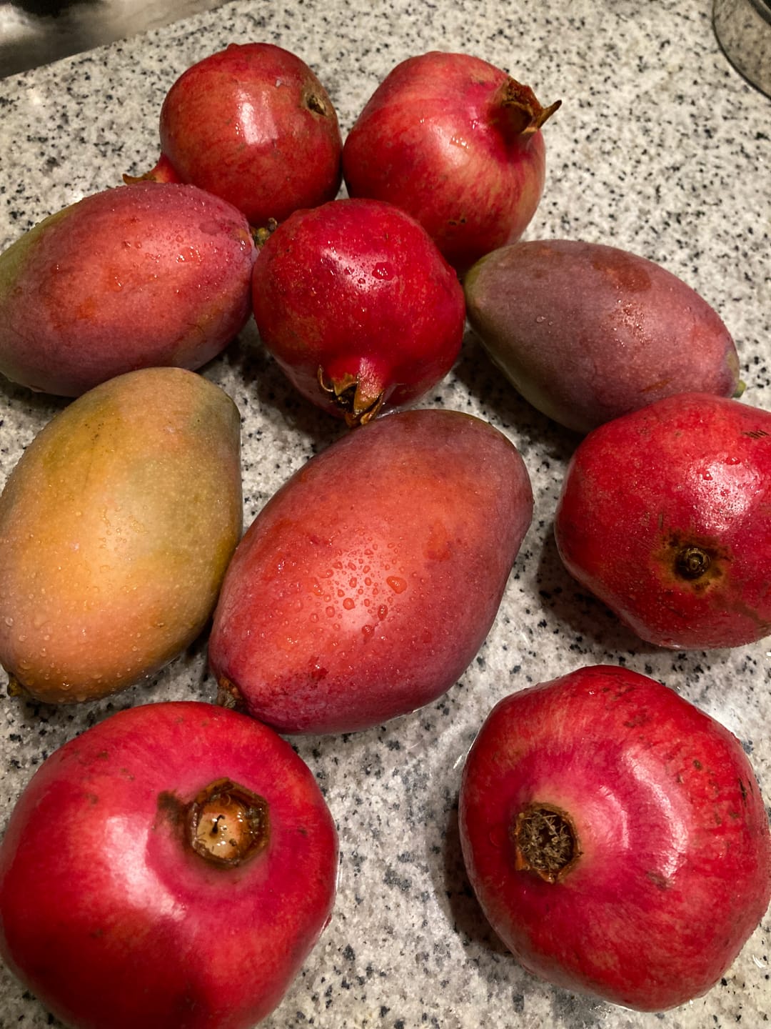 Customer photo review of Mango & Granatapfel Retterbox %