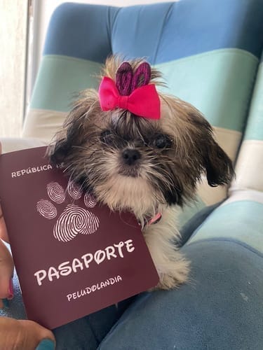Customer photo review of Pasaporte Para Mascotas