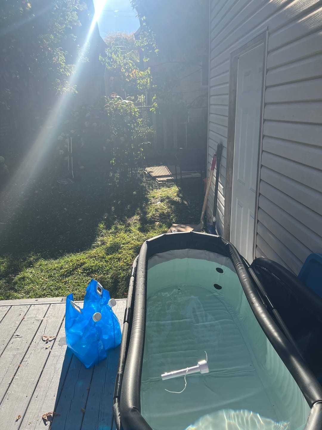 Customer photo review of Plunge®