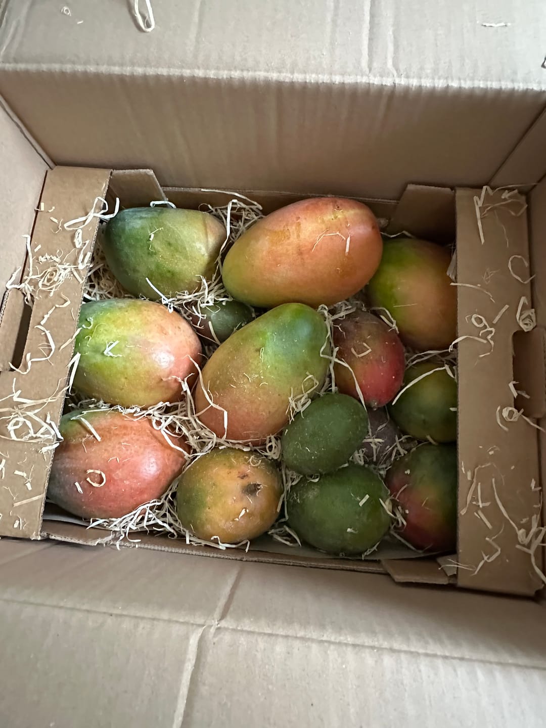 Customer photo review of Mango Keitt Sonderaktion % Box 4kg