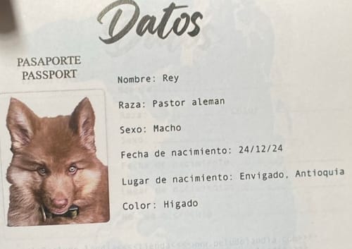 Customer photo review of Pasaporte Para Mascotas