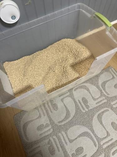 Customer photo review of Pack Cosycat 4,3 kg + 8,6 kg