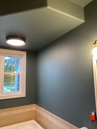 Customer photo review of Misty Forest  - Manor Borne Wall Paint