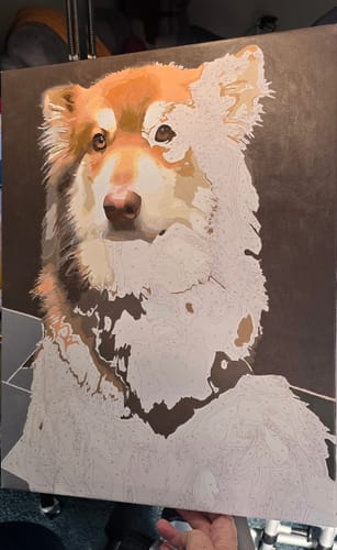 Customer photo review of Custom Paint By Numbers Kit