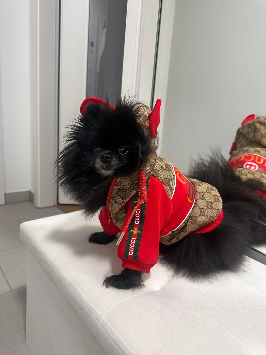 Customer photo review of EAR GULLNA WARM COAT HIGH QUALITY