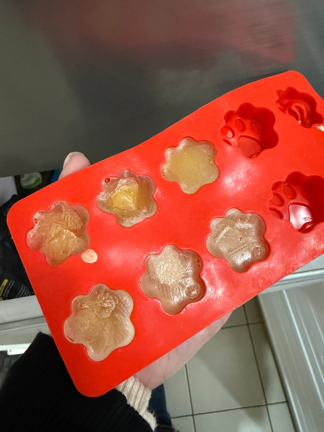 Customer photo review of Caldo de Huesos Perros