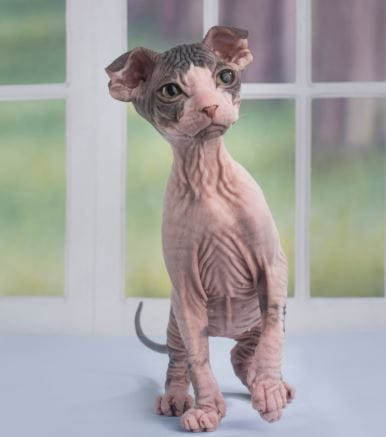 Customer photo review of Painless Tattoo Numbing Cream