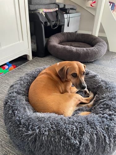 Customer photo review of CalmBed - Motverkar stress & hjälper mot ångest