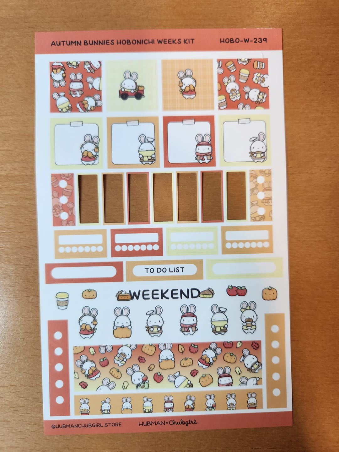 Customer photo review of Autumn Bunnies Theme Hobonichi Weeks Kit