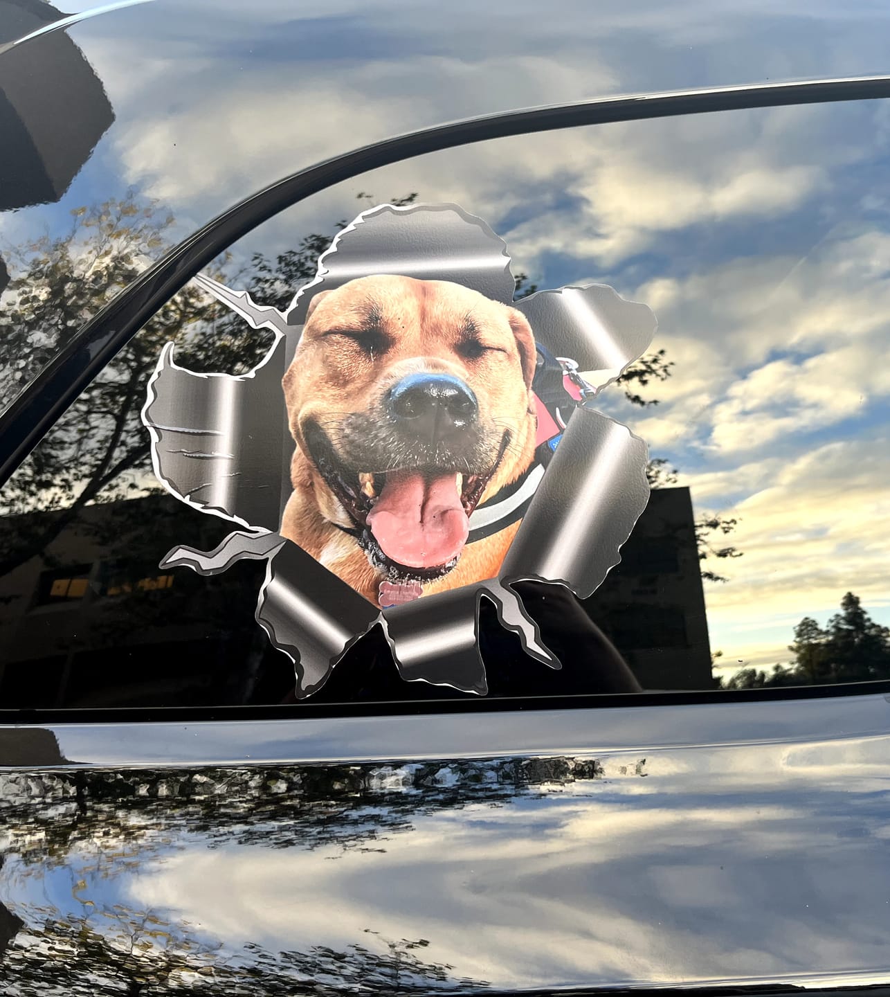 Customer photo review of Peeking photo – Personalized Car Sticker