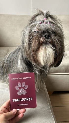 Customer photo review of Pasaporte Para Mascotas