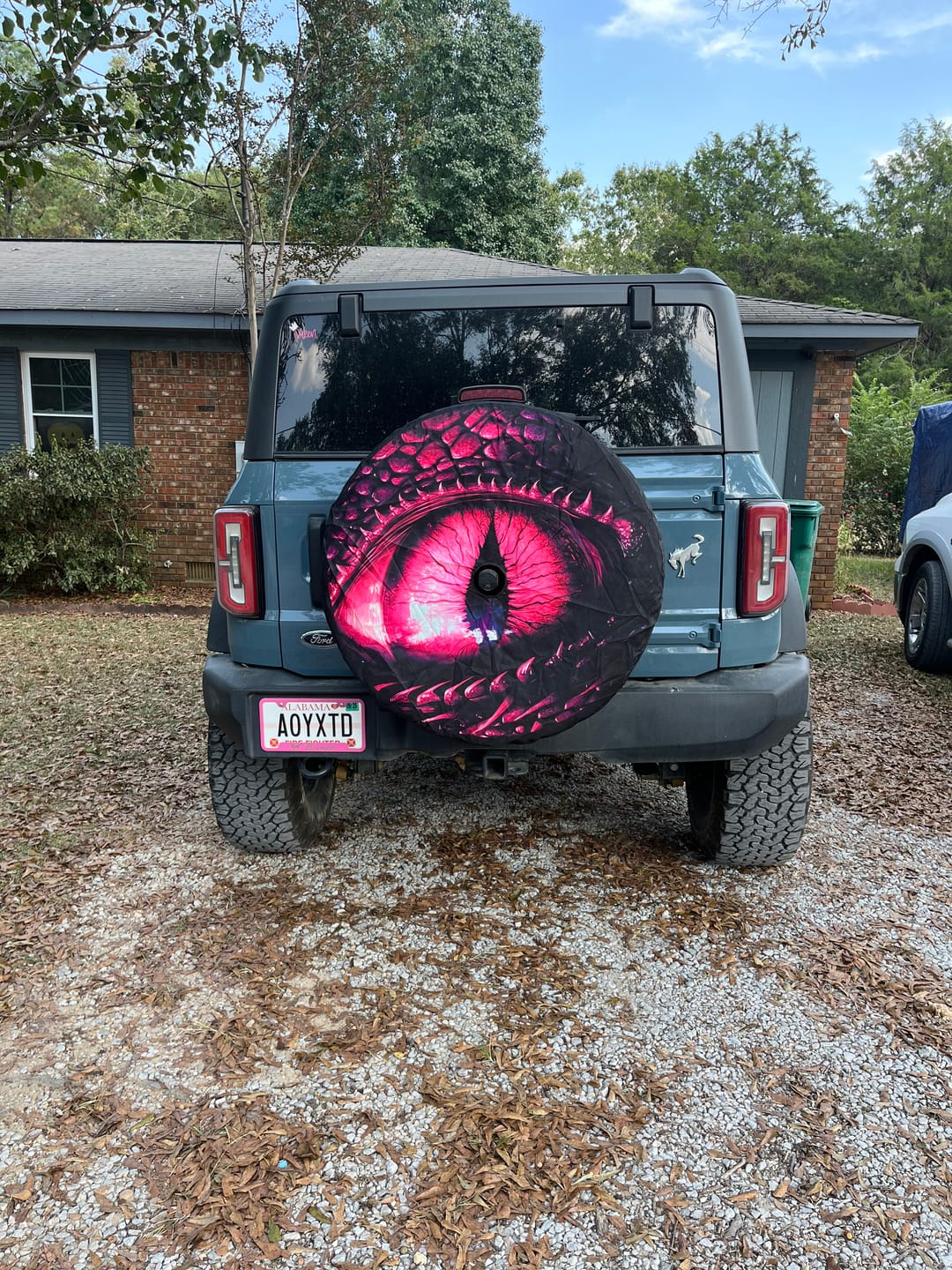 Customer photo review of Pink Dragon Eye Spare Tire Cover, Car Back Extra Rear Wheel Accessories Custom Unique Design Backup Camera Hole Auto RV Camper Trailer