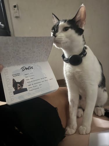 Customer photo review of Pasaporte Para Mascotas