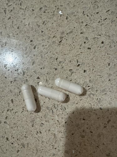 Sophia I. review
