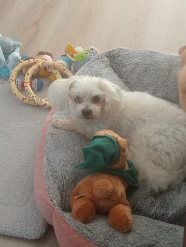 Vicki B. review of FREE Taste Testing Bundle image 1 out of 1