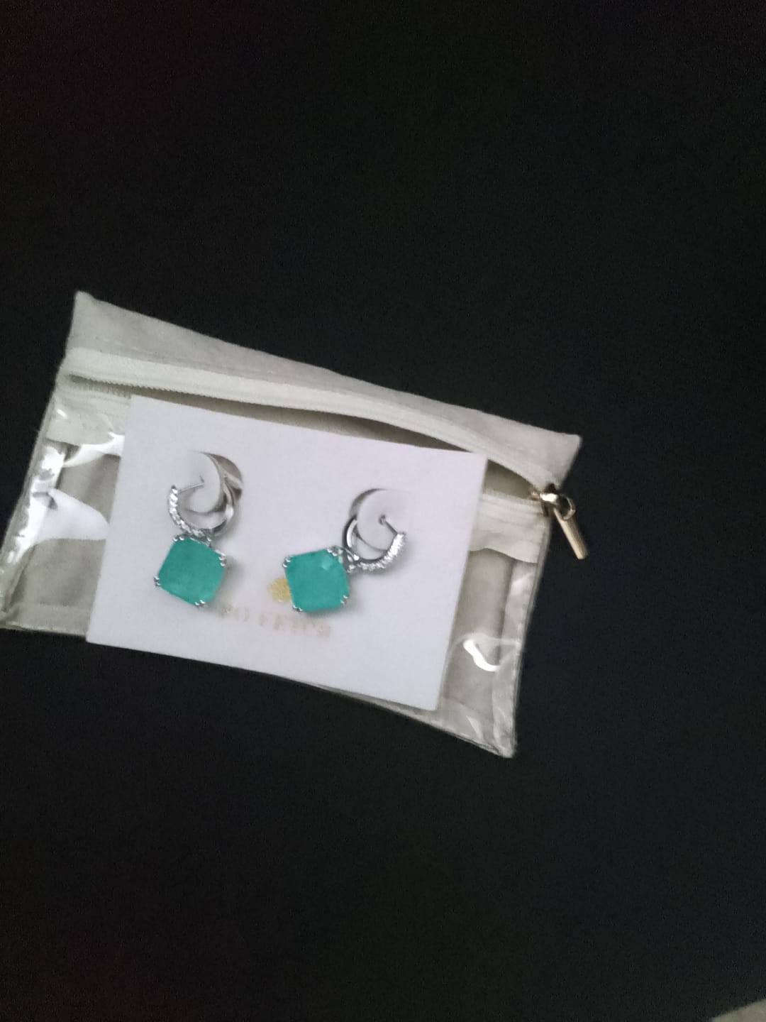 Customer photo review of The Zenobia Earrings