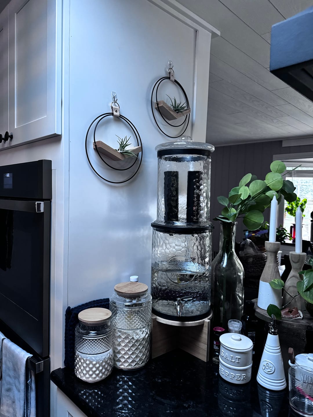 Customer photo review of Air Plant V-Hanger Duo