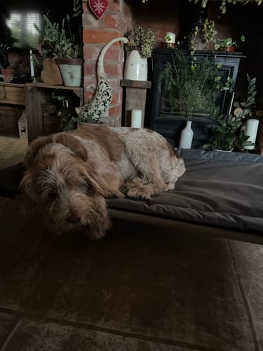 Di A. review of Black & Grey Water Resistant Reversible Pad image 1 out of 1