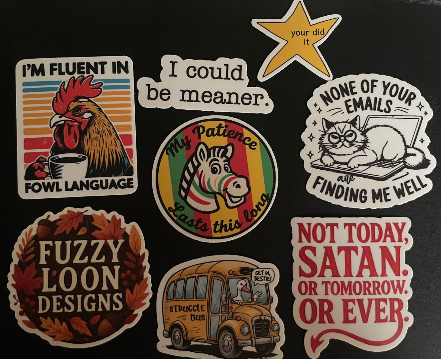 Customer photo review of STICKER CLUB | Monthly Sticker Subscription