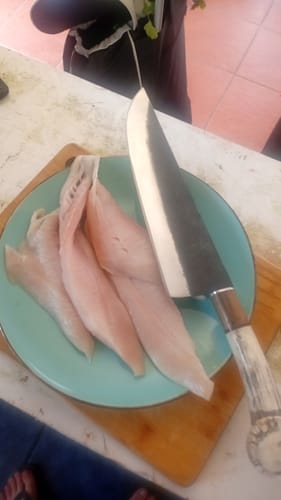 Customer photo review of Cuchillo Parrillero 44cm “Ciprés“