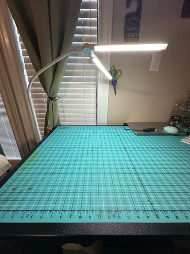 Customer photo review of Daylight DuoPro Floor Lamp