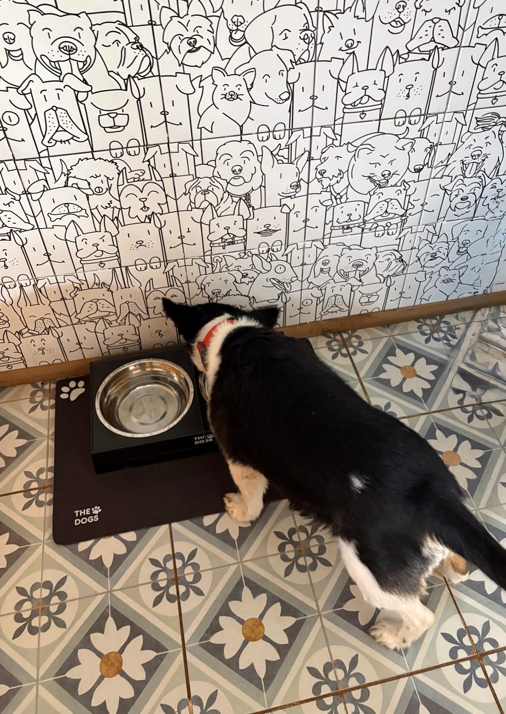 Customer photo review of Mat Absorbente para Alimentación — Absorbe derrames al instante