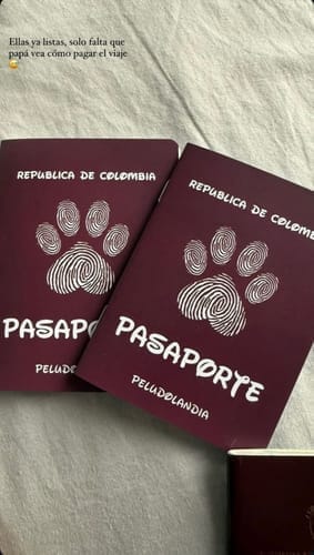 Customer photo review of Pasaporte Para Mascotas