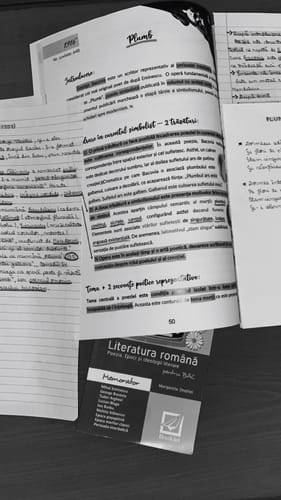 Recenzie cu fotografie de la un client despre Pachet Bacalaureat (Română + Istorie + Logică) Bacademia