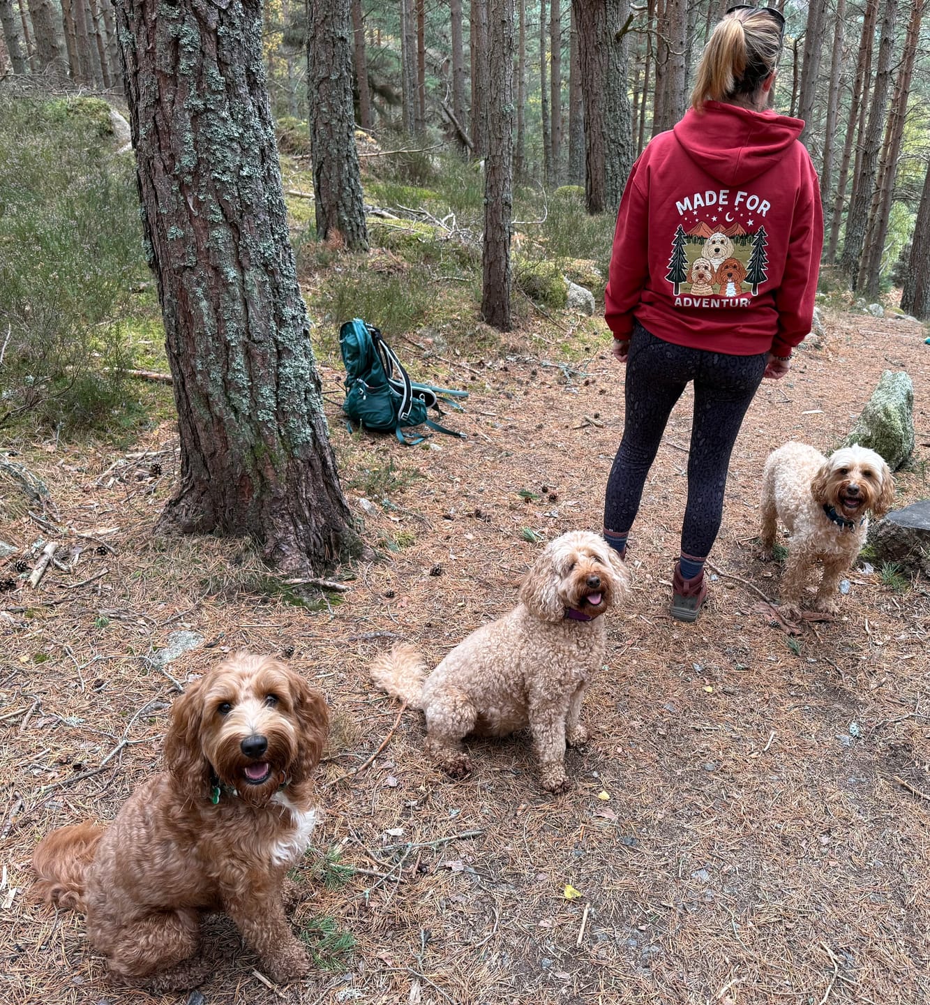 Customer photo review of Made to adventure Hoody