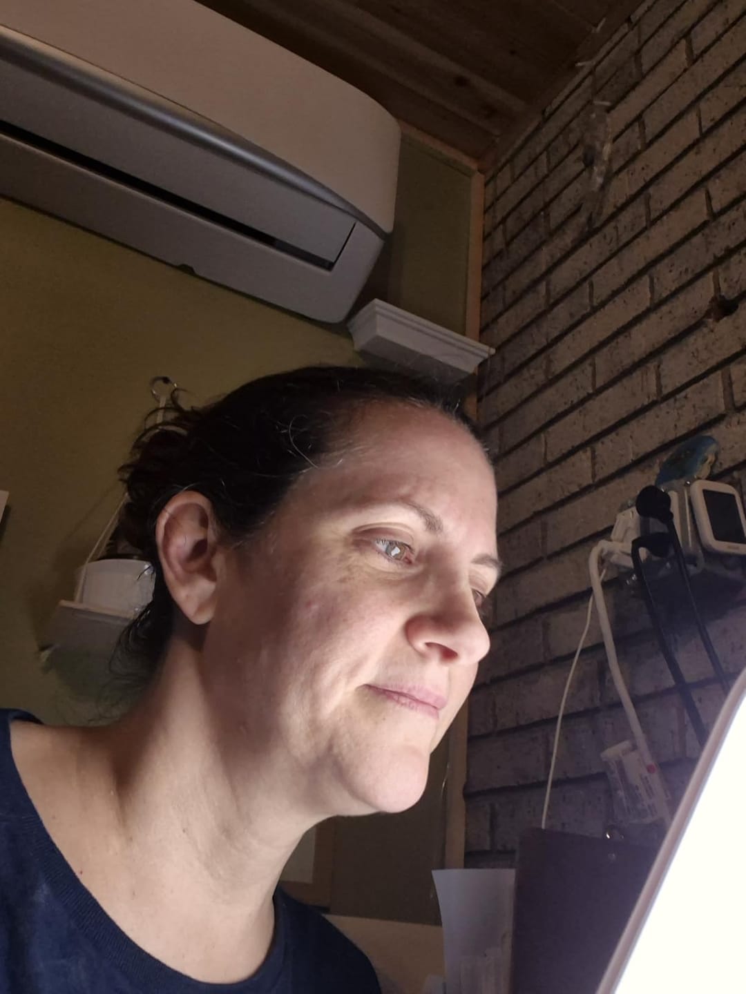Customer photo review of NordiLight