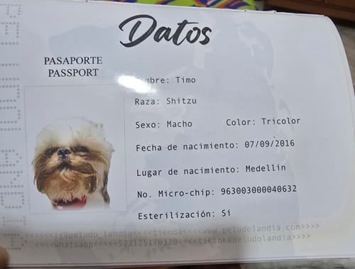 Customer photo review of Pasaporte Para Mascotas