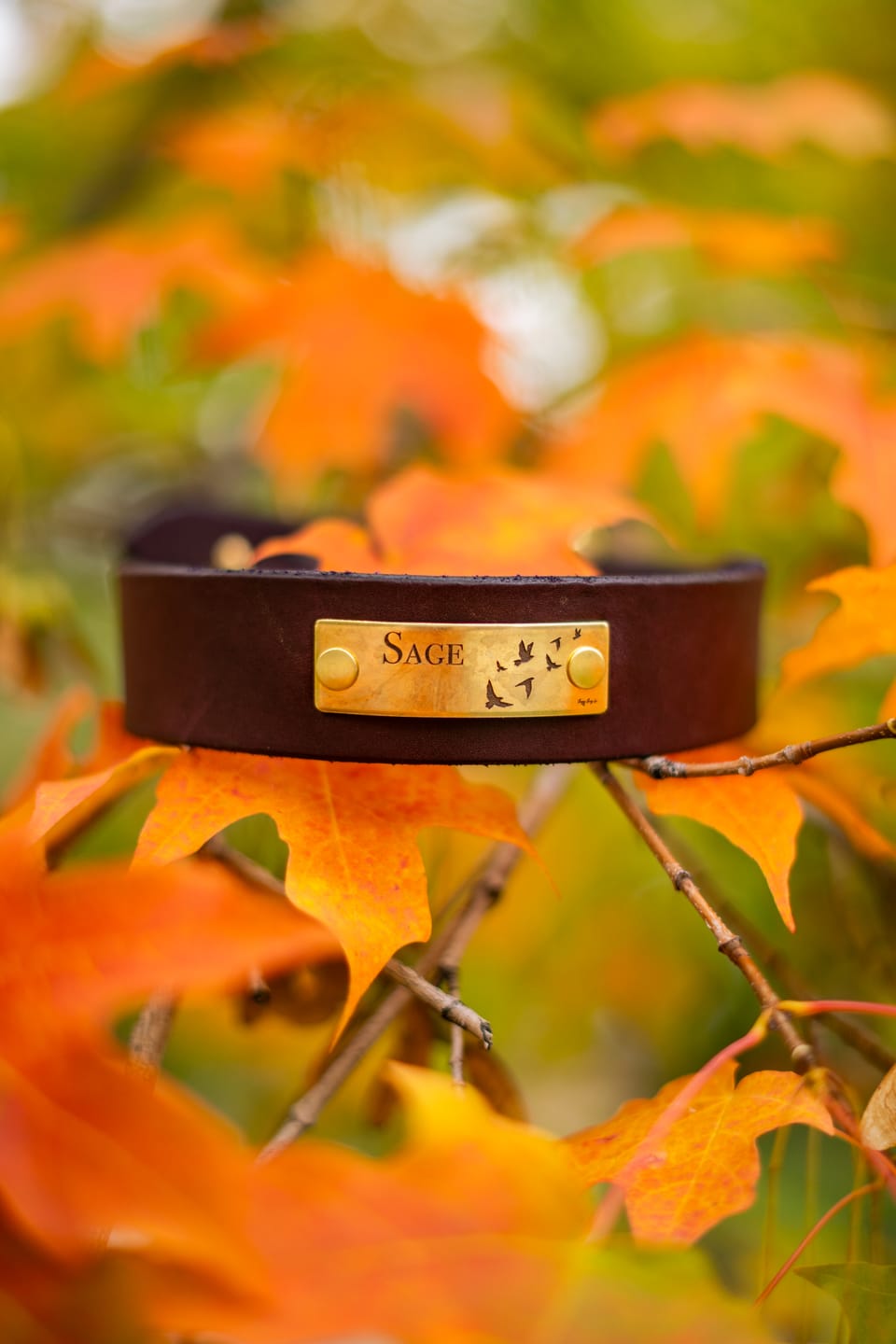 Customer photo review of Designer Rivet-On Tag