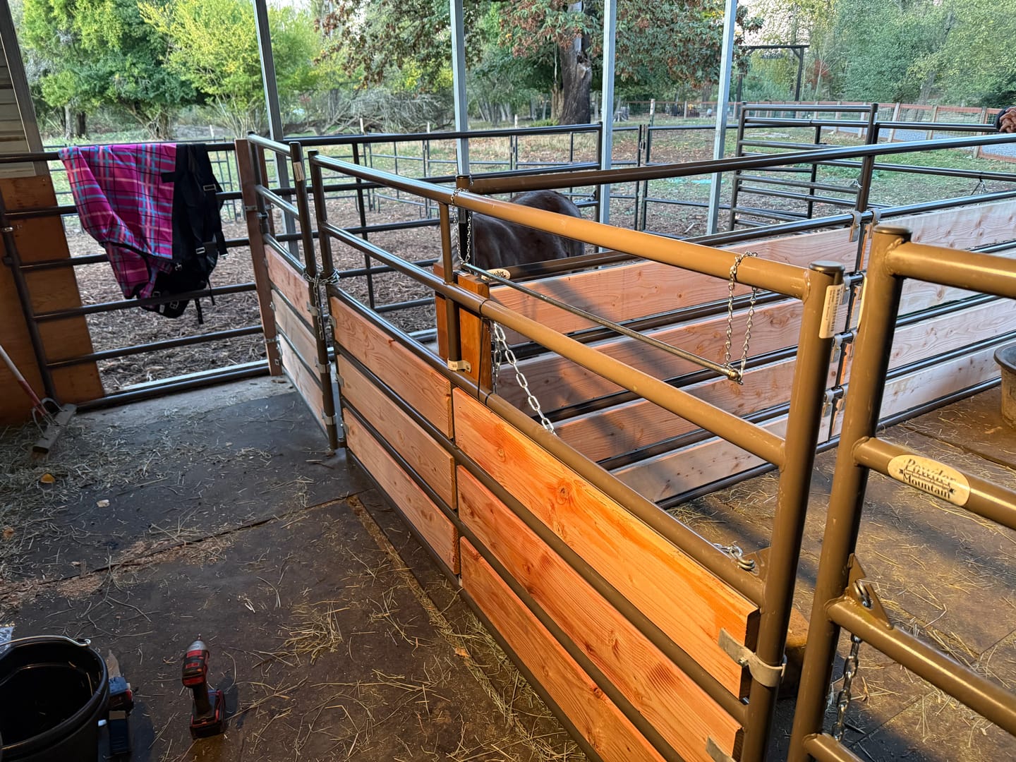 Customer photo review of Wood Panel Clamp 1-5/8" | Attaches Wood to Horse Corral Panels