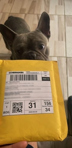 Customer photo review of Pasaporte Para Mascotas