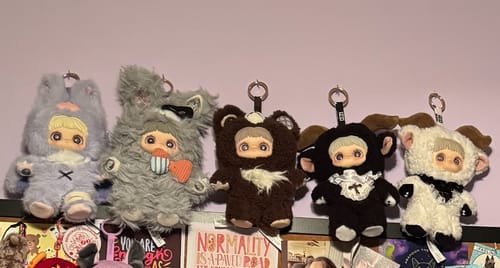 Customer photo review of MayMei Dark Forest Series Plush Blind Box