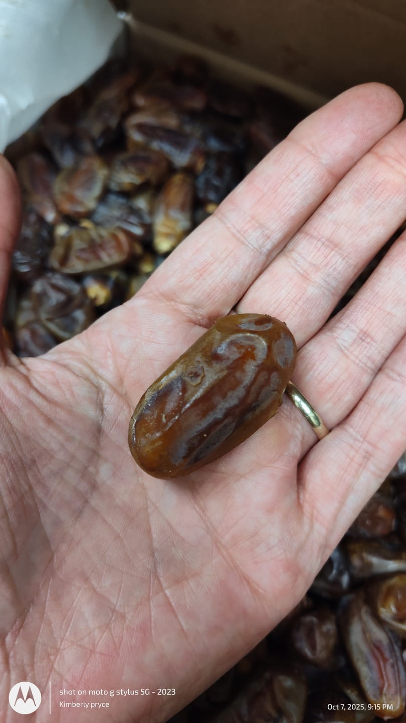 Customer photo review of Organic Halawi Dates Box
