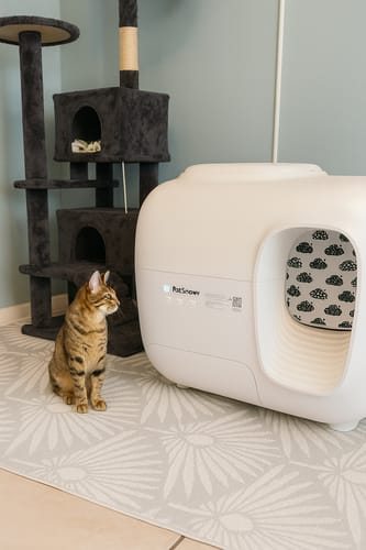 Customer photo review of Self-Cleaning Litter Box