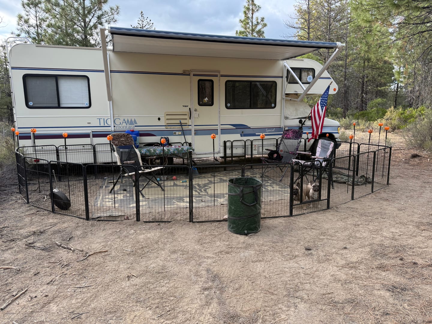 Customer photo review of RV Step Grid - Dog Barrier for RV Stairs