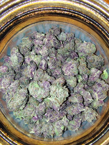 Customer photo review of Purple Trainwreck Indoor - 28 Grams - Sativa