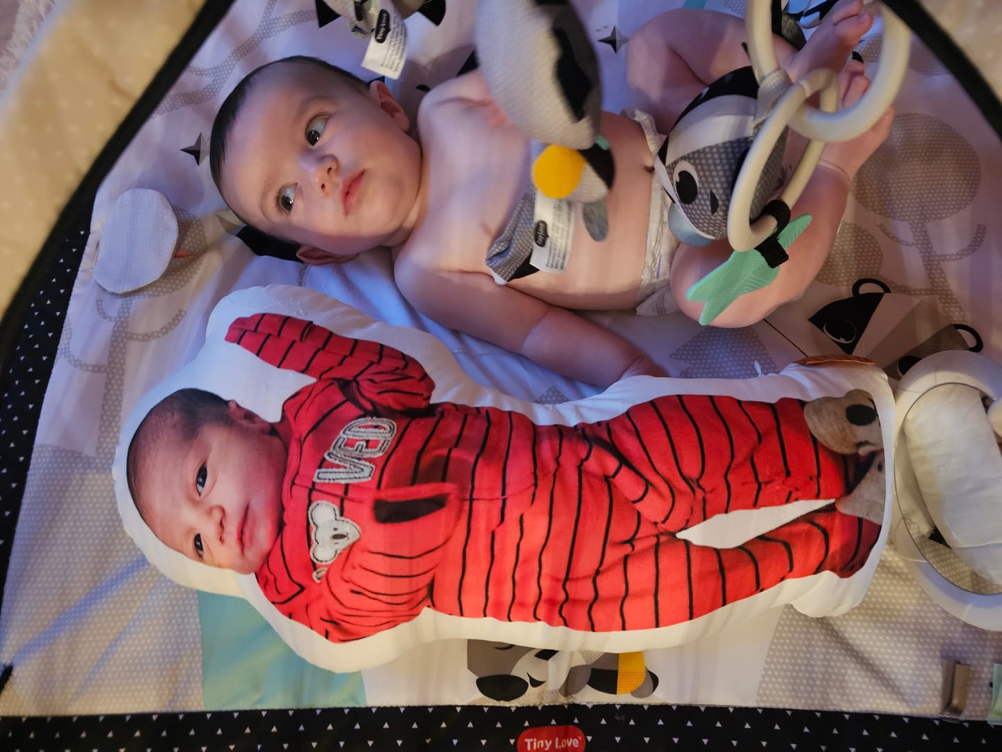 Customer photo review of Photo Birth Pillow