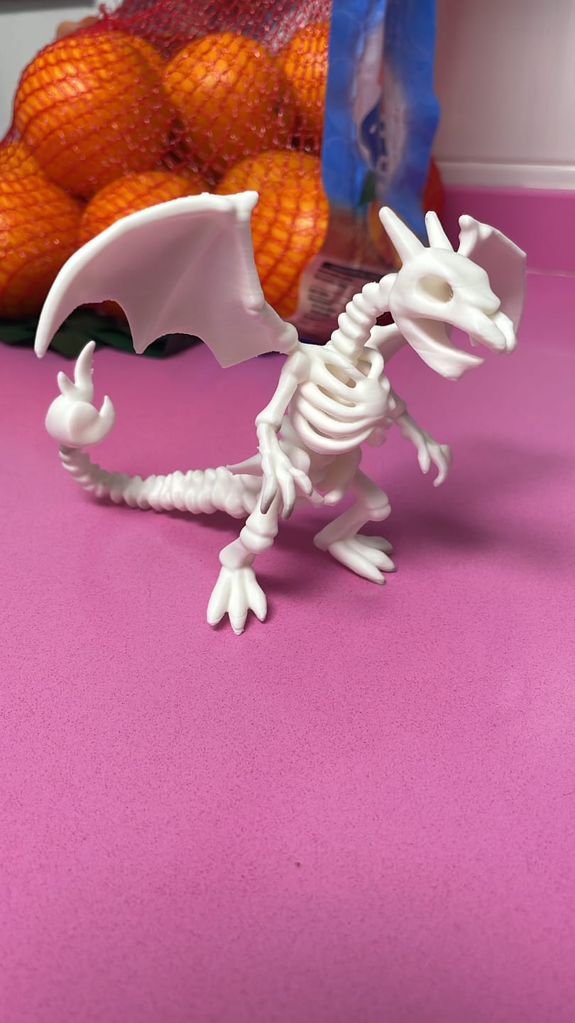 Customer photo review of Anycubic Kobra 3 V2 Combo