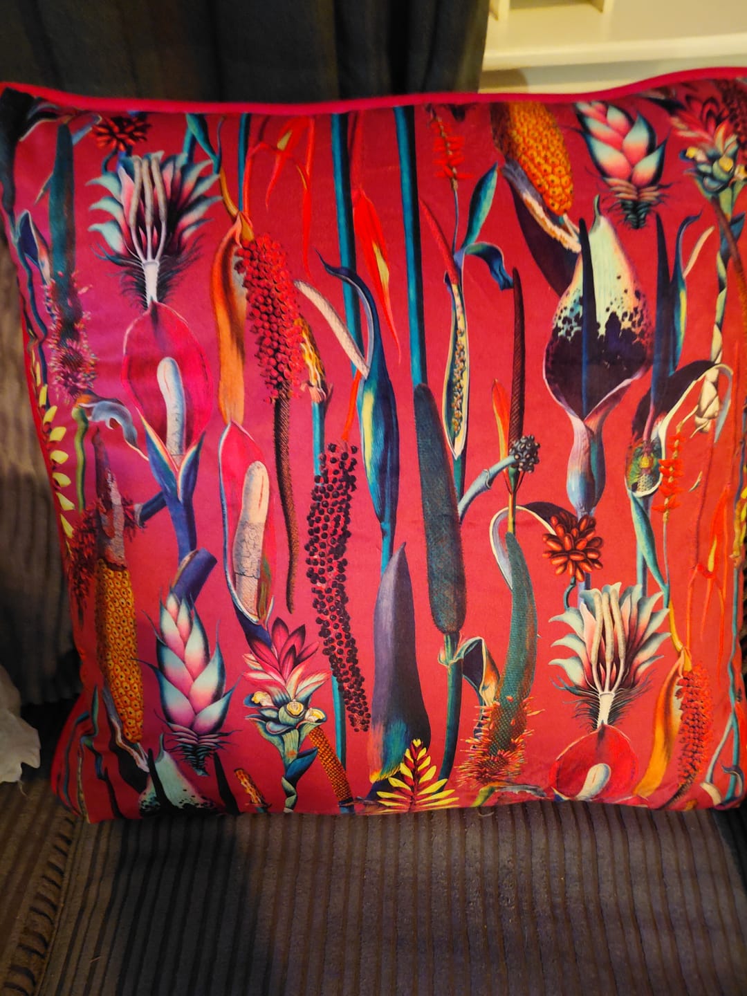 Customer photo review of Abstract Plants Digital Velvet Fabric