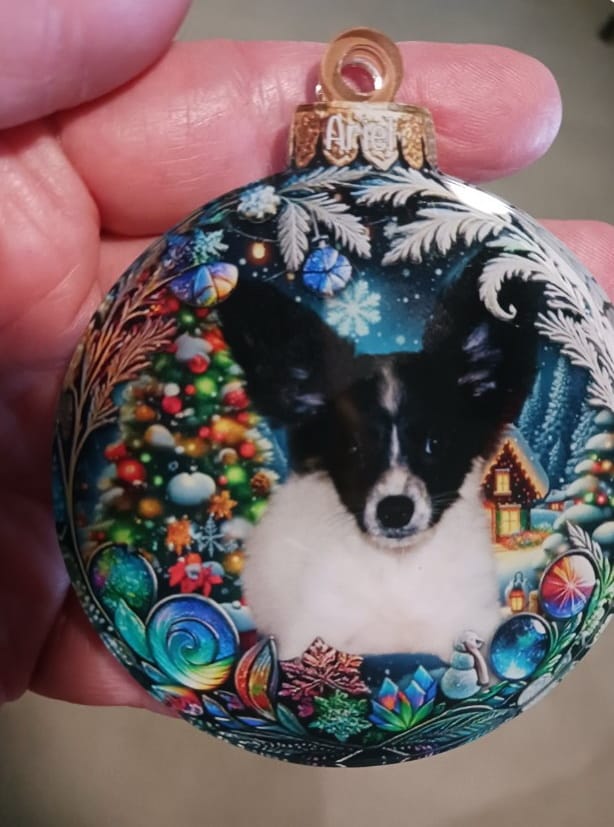 Customer photo review of Custom Photo Pets Make Our Lives Whole - Dog & Cat Personalized Ornament